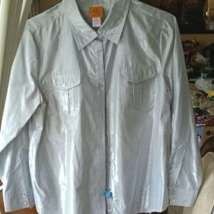 Button down blouse. Shimmering powder blue